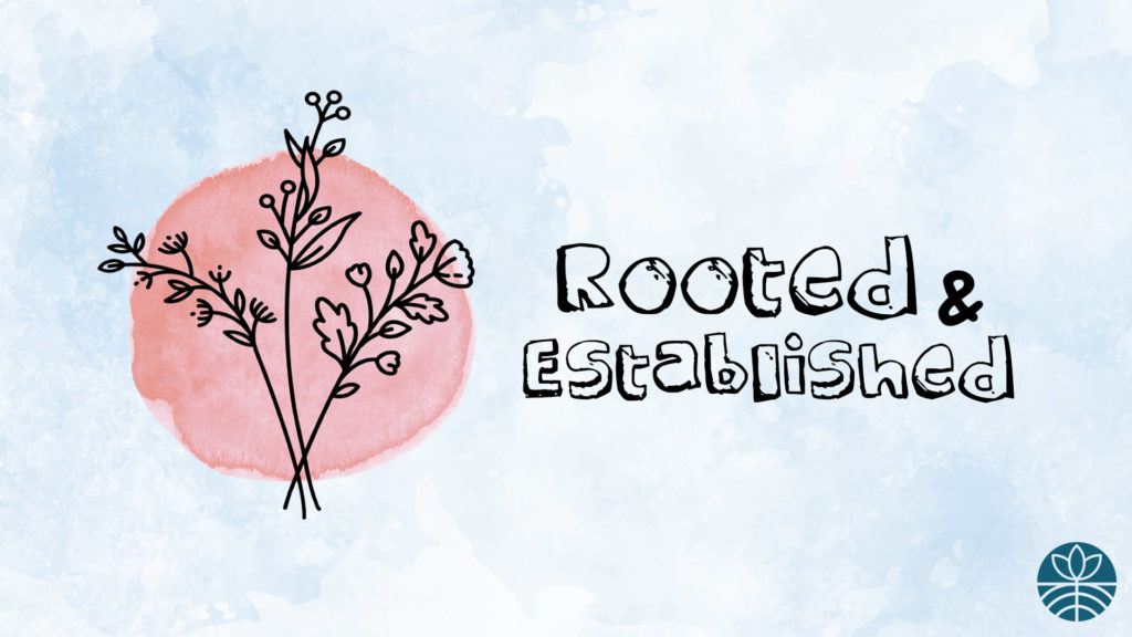 rooted & established