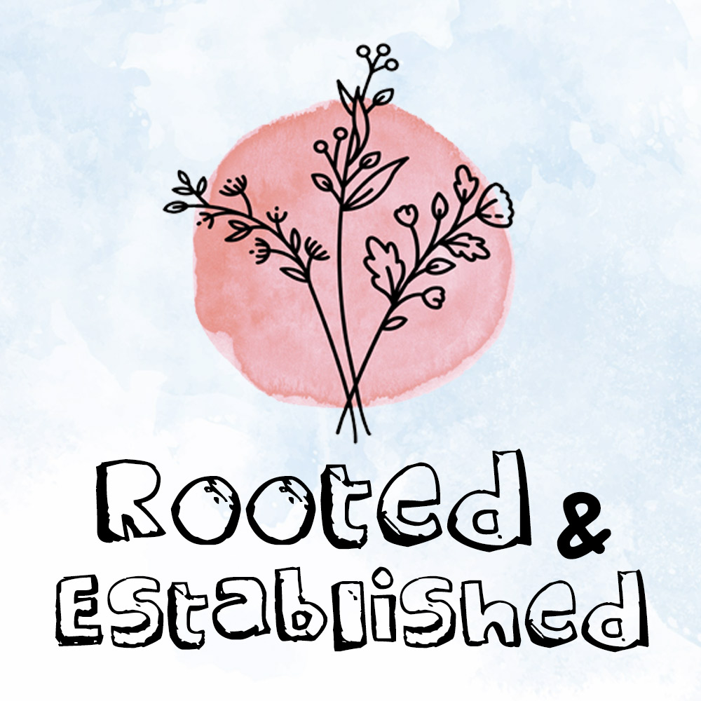 Rooted & Established Series – Roots Moravian Church